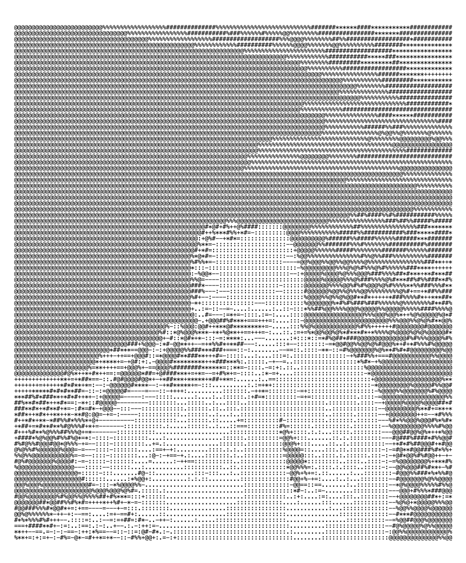 Alyan Anwar — ASCII portrait 2